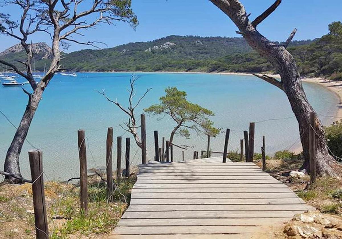 Superbe Logement Au Bord Des Plages Toulon Eksteriør bilde